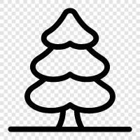 iğneler, Noel, orman, ağaç ikon svg