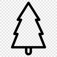 needles, cones, tree, growth icon svg