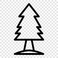 needles, cones, height, Christmas icon svg