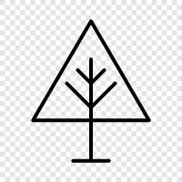 needles, cones, tree, Christmas icon svg