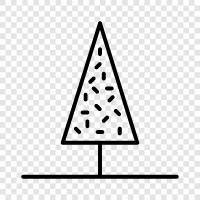 needles, cones, bark, grow icon svg