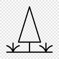 Nadeln, Zapfen, Baum, Baumstamm symbol