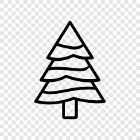 needles, cones, Christmas, fir icon svg