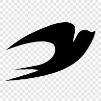 nest, nest building, bird watching, avian icon svg