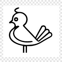 nest, eggs, beak, feathers icon svg