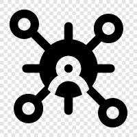 networking equipment, networking software, networking technology, networking diagrams icon svg