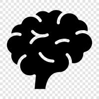 neuron, cognitive function, neuroscience, mental illness icon svg