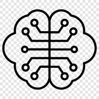 Neurowissenschaften, Kognitionswissenschaft, Künstliche Intelligenz, maschinelles Lernen symbol