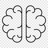 neuroscience, cognitive neuroscience, cognitive psychology, memory icon svg