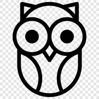 Night, Animal, Spectacled, Feathered icon svg