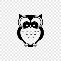 night, animals, cute, pet icon svg