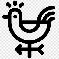 North Wind Direction Chicken icon