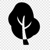 Oak, Tree, Forest, Shade icon svg