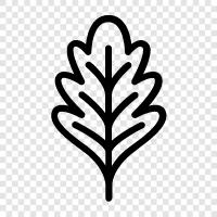 oak tree, leaves, tree, forest icon svg
