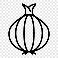onion cultivation, onion growing, onion varieties, onion farming icon svg