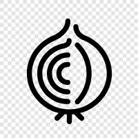 onion seed, onion cultivation, onion seeds, onion cultivation tips icon svg