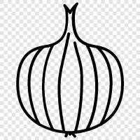 onion seed, onion bulb, onion plant, onion seed storage icon svg