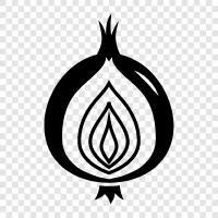 onion skin, onion bulbs, onion seeds, onion seed oil icon svg