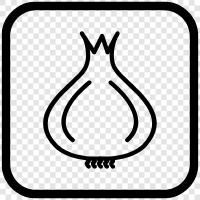 onion soup, onion skin, onion bulb, onion root icon svg