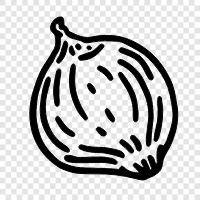 oniondom, onion farm, onion growing, onion production icon svg