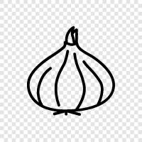 onions, scallion, shallot, garlic icon svg