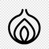 onionskin, onion juice, onion seed, onion bulb icon svg