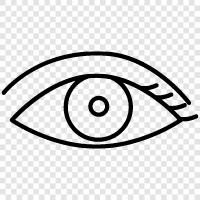 optical, vision, eyeball, retina icon svg