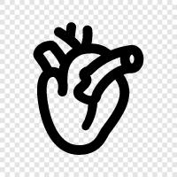 organ, pump, arteries, veins icon svg