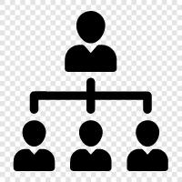 organizational, organizational chart, organizational structure, management icon svg