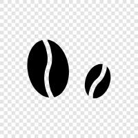 origin, Arabica, Robusta, beans icon svg