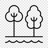 outdoors, hiking, camping, wildlife icon svg