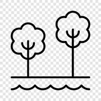 outdoors, flora, fauna, ecology icon svg