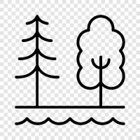 outdoors, camping, hiking, fishing icon svg