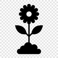 outdoors, flowers, trees, birds icon svg