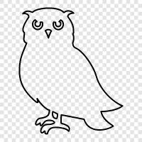 owl icon svg