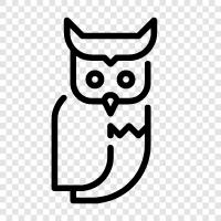 owl eyes, owl costume, owl tshirt, owl hoodie icon svg