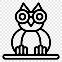 Owl eyes, Owl sitting, Owl feathers, Owl feathers for sale icon svg