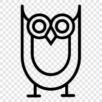 owl eyes, owl tweet, owl facts, owl symbols icon svg