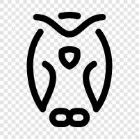 owl eyes, owl tattoos, owl feathers, owl cage icon svg