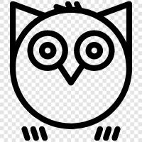 owl icon svg