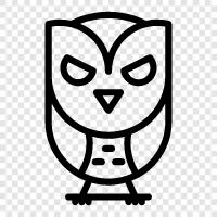 baykuş, owl ikon svg