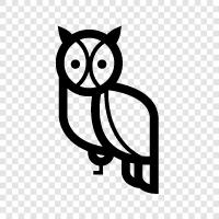 owl icon svg