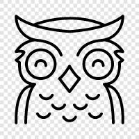 owl icon svg