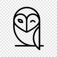 owl symbolism, owl meaning, owl meaning in language, owl symbolism in language icon svg