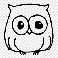 owl tattoo, owl tattoo meaning, owl tattoo design, owl tattoo ideas icon svg