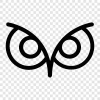 owls, eyes, glowing, iridescence icon svg