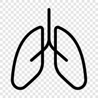 oxygen, breathing, lungs, diseases icon svg