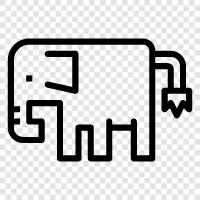 pachyderm, mammal, animal, big icon svg