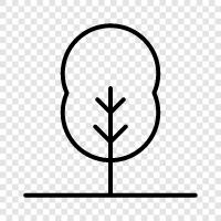 Palm, Ficus, Taxonomy, Plant icon svg