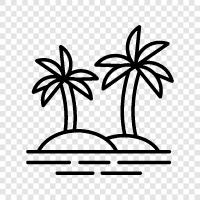 palm leaves, fronds, trunk, branches icon svg